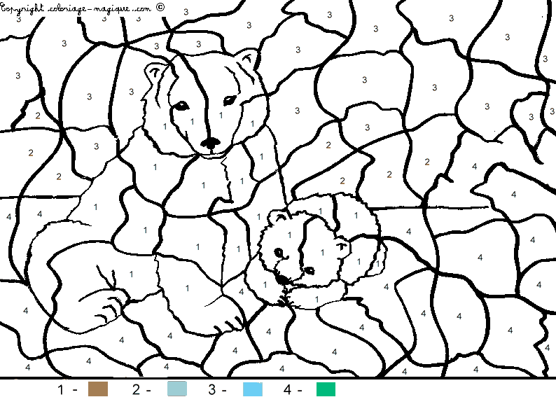 coloriagebears-2.gif