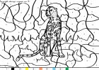 coloriagecheetah-81.gif