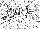 coloriagegrasshopper-37.gif