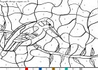 coloriagehbird-67.gif