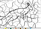 coloriagekangaroos-94.gif