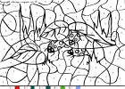 coloriageladybugs-42.gif