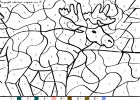 coloriagemoose-44.gif