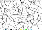 coloriageshamu-50.gif