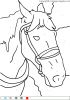 coloriagemagiquechevaux-1.gif