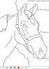 coloriagemagiquechevaux-3.gif