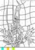 coloriage-magique-lamer-112.gif