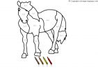 coloriage-magiquemultiplications50.gif