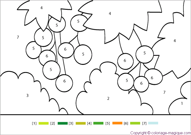 coloriage-magique-0050Litchi_Season.gif