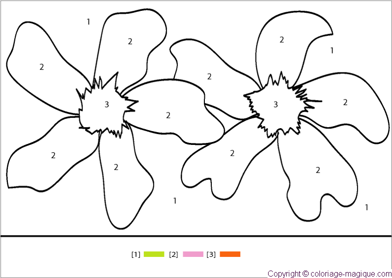 coloriage-magique-0055Rainy_Seasonal_Flower.gif